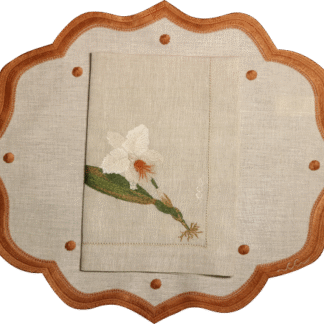 Conjunto Phalaenopsis