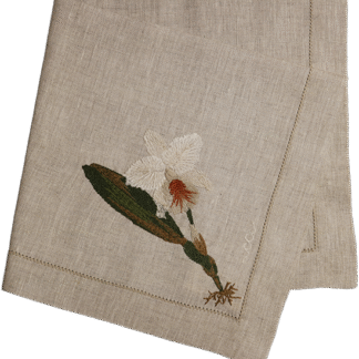 Guardanapo Phalaenopsis